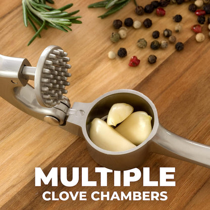 Garlic Press with Soft, Easy to Squeeze Handle - Includes Silicone Garlic Peeler & Cleaning Brush