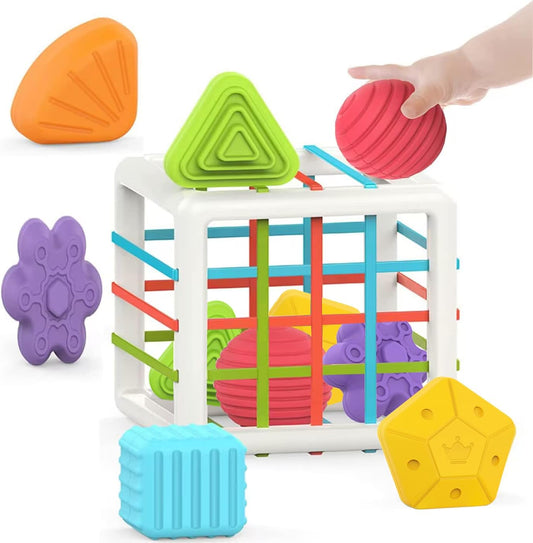 Montessori Toys for 1 Year Old,Baby Sorter Toy Colorful Cube and 6 Pcs Multi Sensory Shape